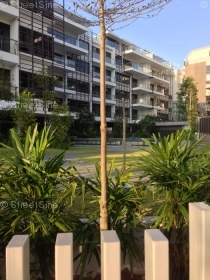 Terrene At Bukit Timah (D21), Condominium #31502